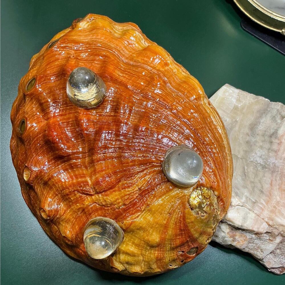 Vintage Hollywood Regency Coastal Abalone Pearl Shell Cigar Ashtray - Picture 9 of 9